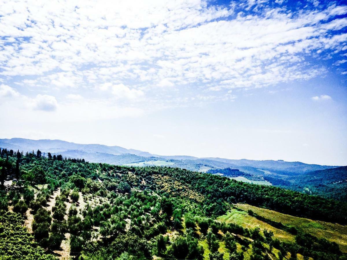 Casa Vacanze Vertine Gaiole in Chianti Ngoại thất bức ảnh